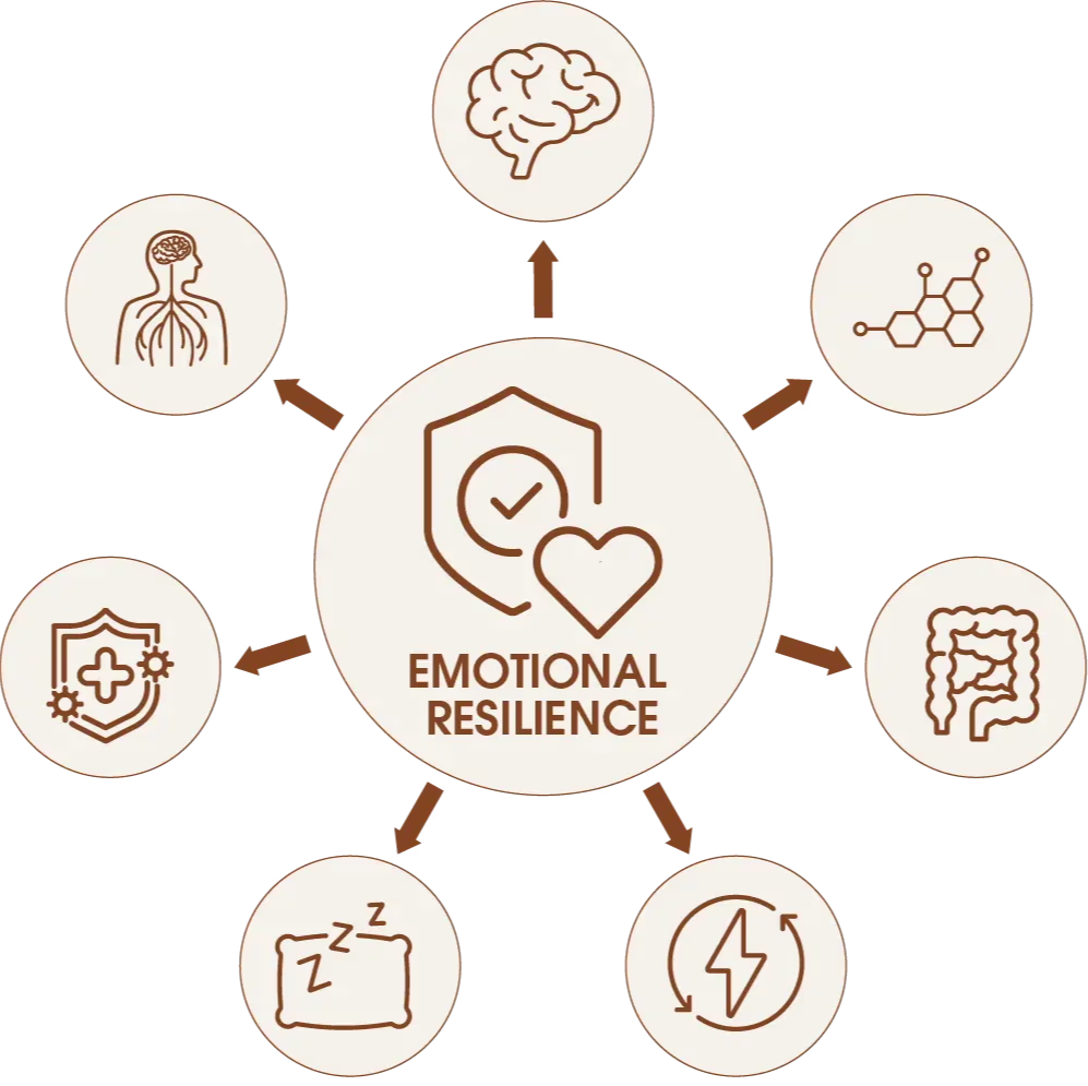 Diagram illustrating emotional resilience with related concepts and icons.