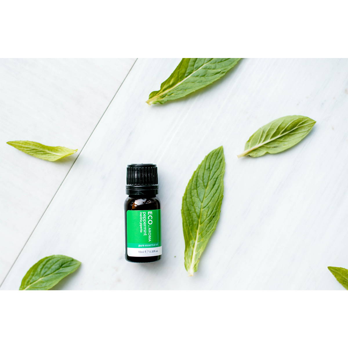 Essential Oils for Poison Ivy - ECO. Modern Essentials Essential Oils for Poison Ivy - ECO. Modern Essentials