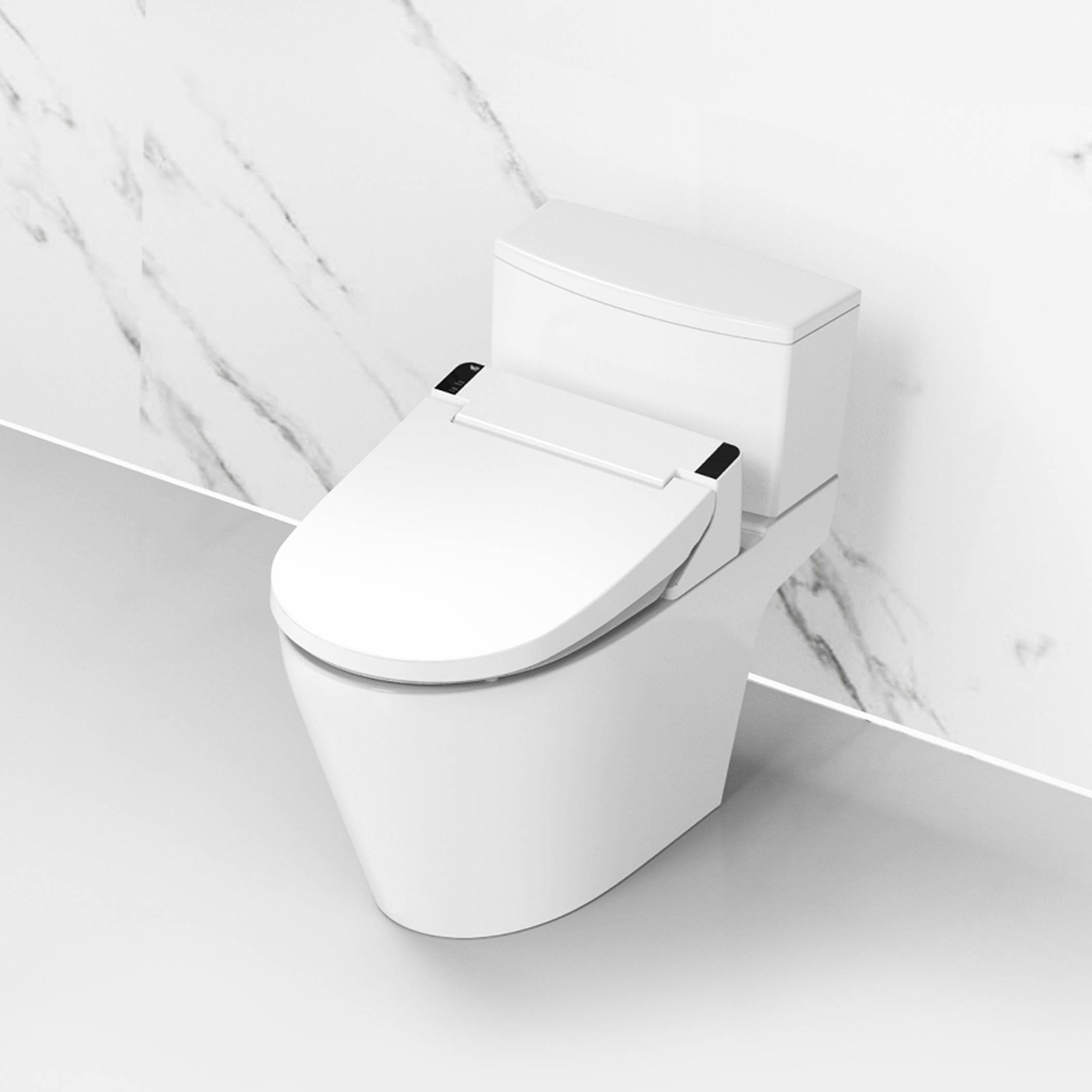 Bidet Seat