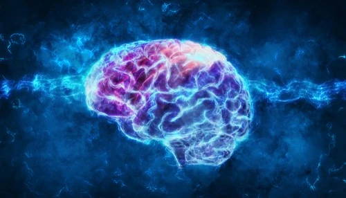 Can berberine hcl help with brain health?