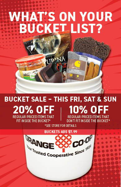 What's On Your Bucket List? Save this Friday, Saturday, and Sunday.