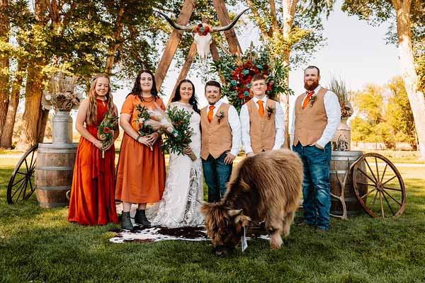 A wedding party in burnt orange posing in front of a western setting with a mini cow