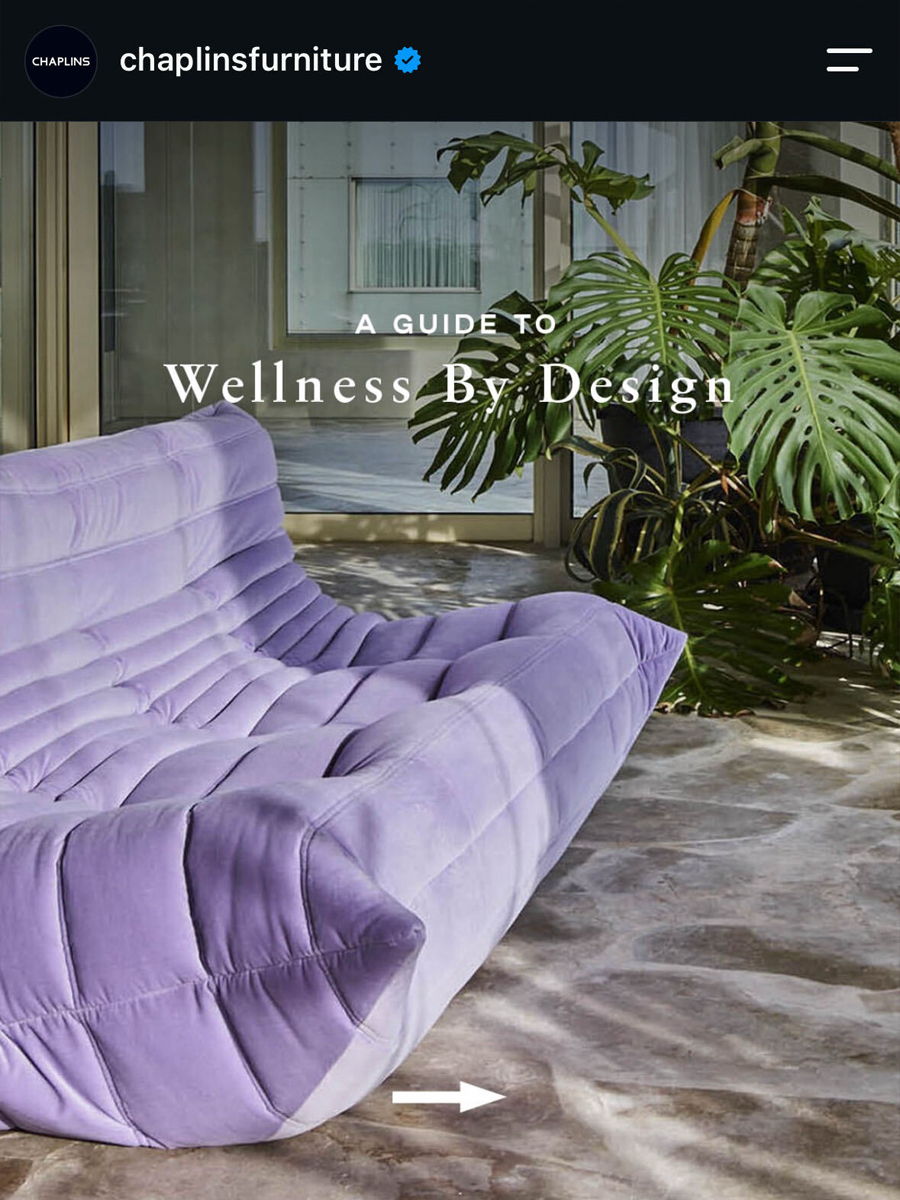A stylish purple Ligne Roset couch with plants, promoting wellness by design.