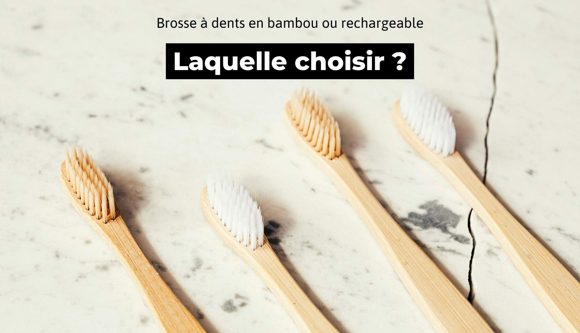 Brosse à dents en bambou ou rechargeable : Quelle est la meilleure alternative écologique ? Trust Society