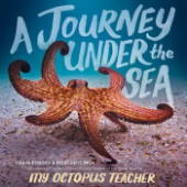 A Journey Under the Sea 