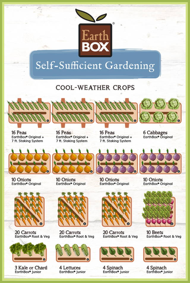 EarthBox Self-Sufficient Garden Layout: Cool-Weather Crops