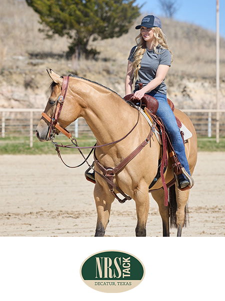 Woman riding a horse in a riding arena.
