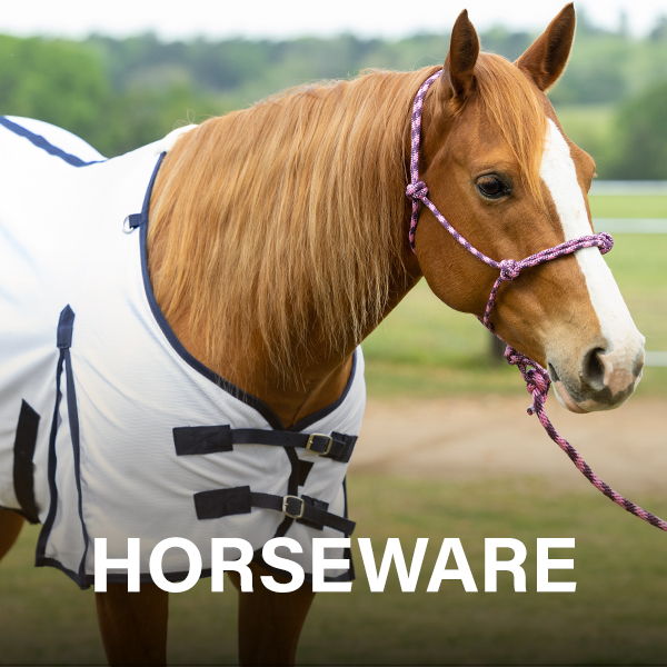 A horse wearing a white blanket in a grassy field.