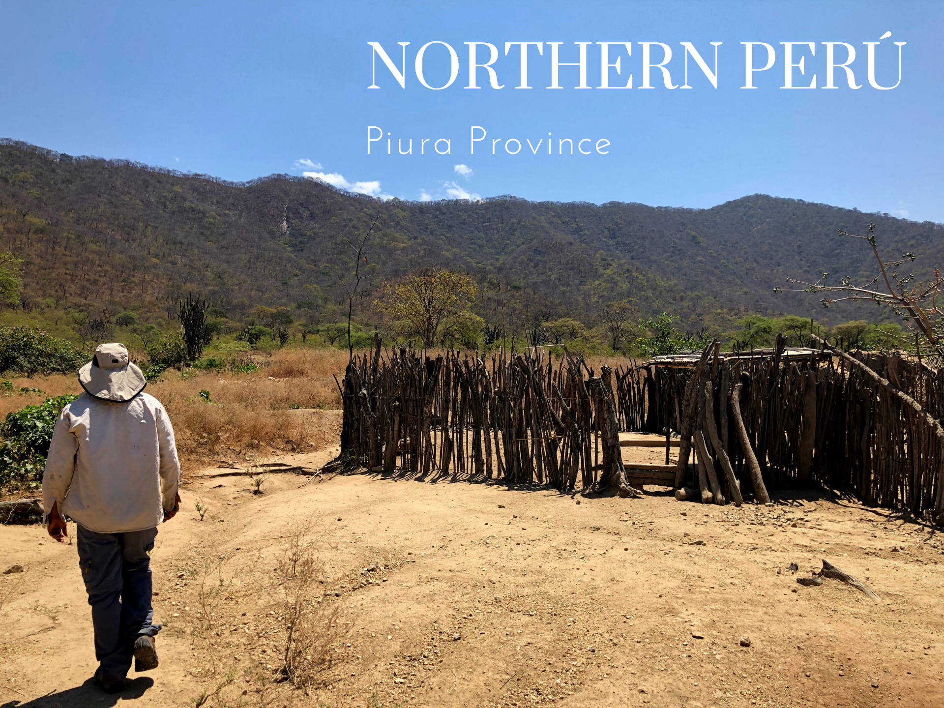 Palo Santo Peru