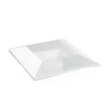 A square translucent plate with a clear lid
