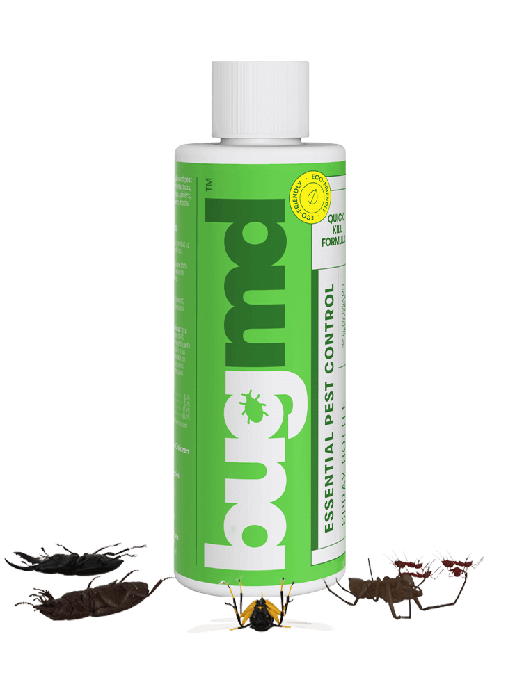 BugMD Starter Kit - Pest Oil Insect Solution Concentrate (2 Pack) -  Plant-Powered Home Bug Spray, Bed Bug Killer + Reusable Spray Bottle