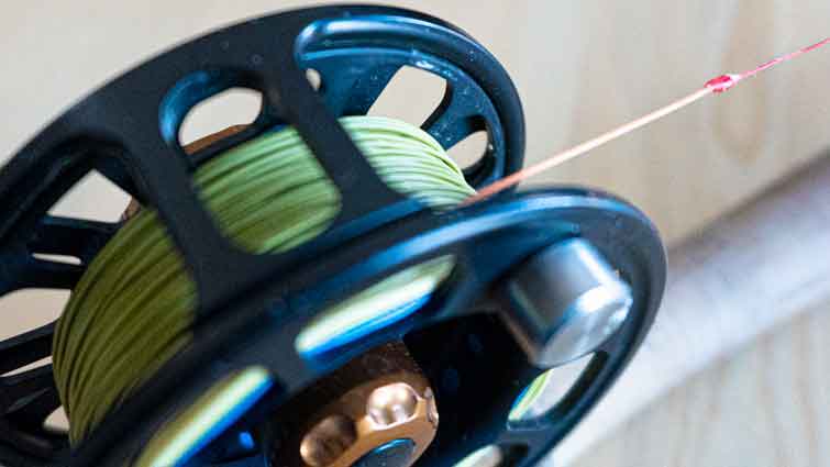 The ULTIMATE GUIDE to Fly Fishing Gear