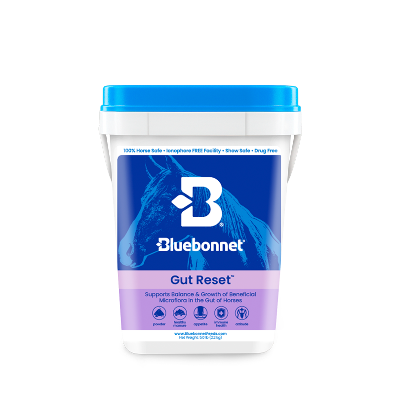 Bluebonnet Gut Reset supplement container with blue lid and purple label.