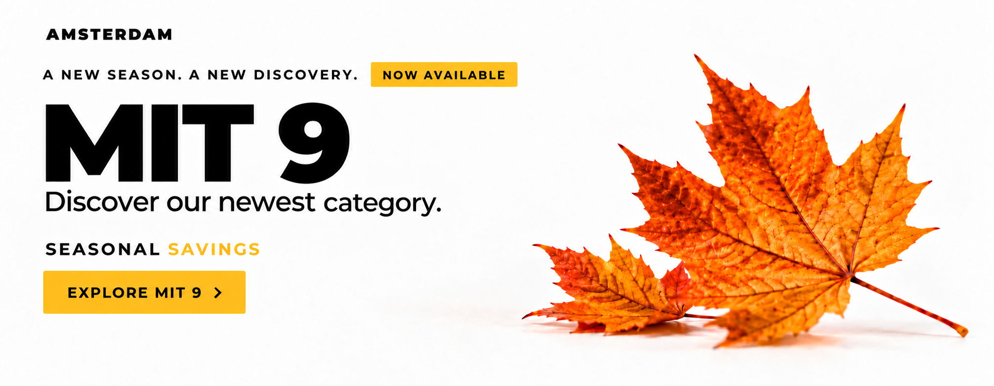 Autumn leaf with promotional text for MIT 9 category discovery.