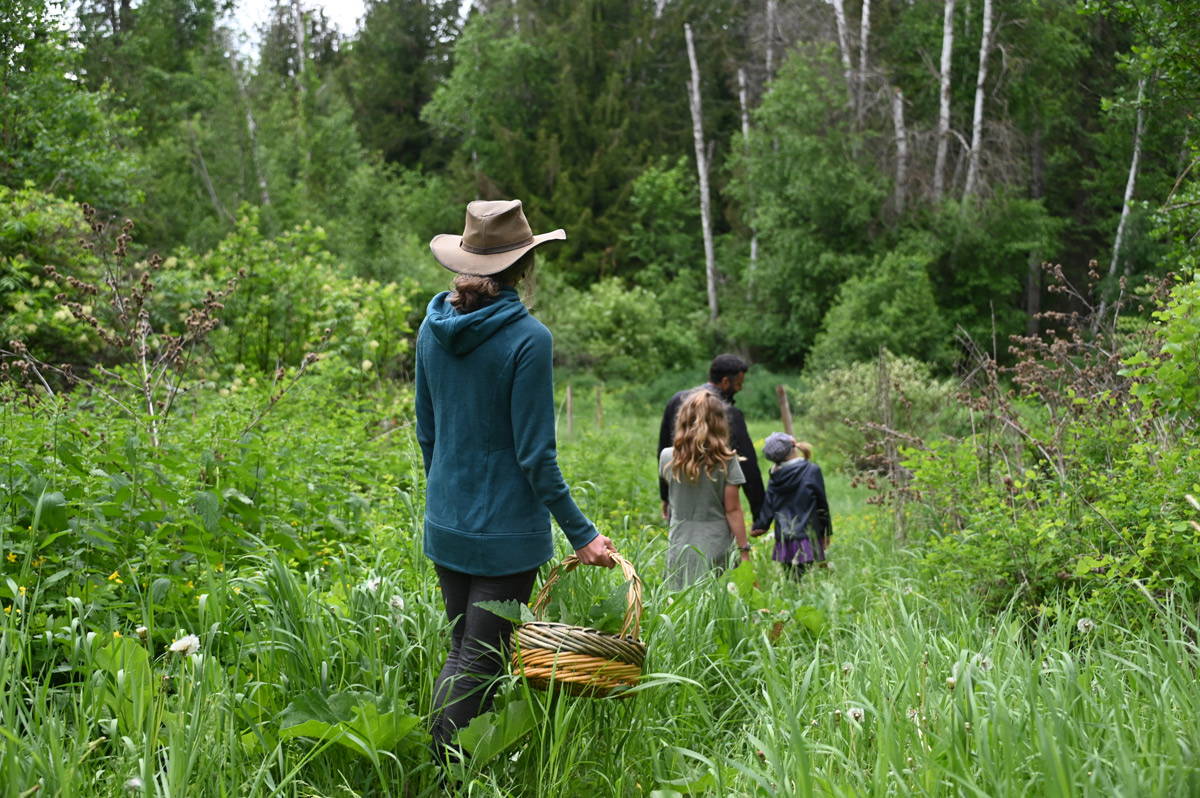 A young family walking through lush and wild meadow