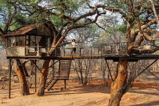 Imvelo_Tum Tum_Treehouse Goshawk
