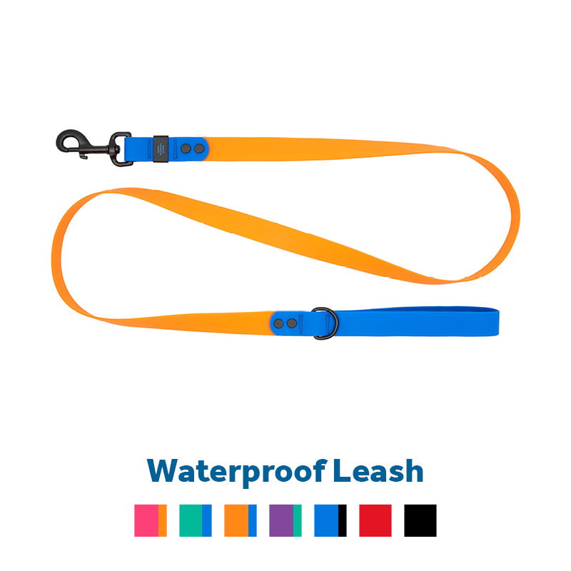 Waterproof leash in orange and blue with various color options below.