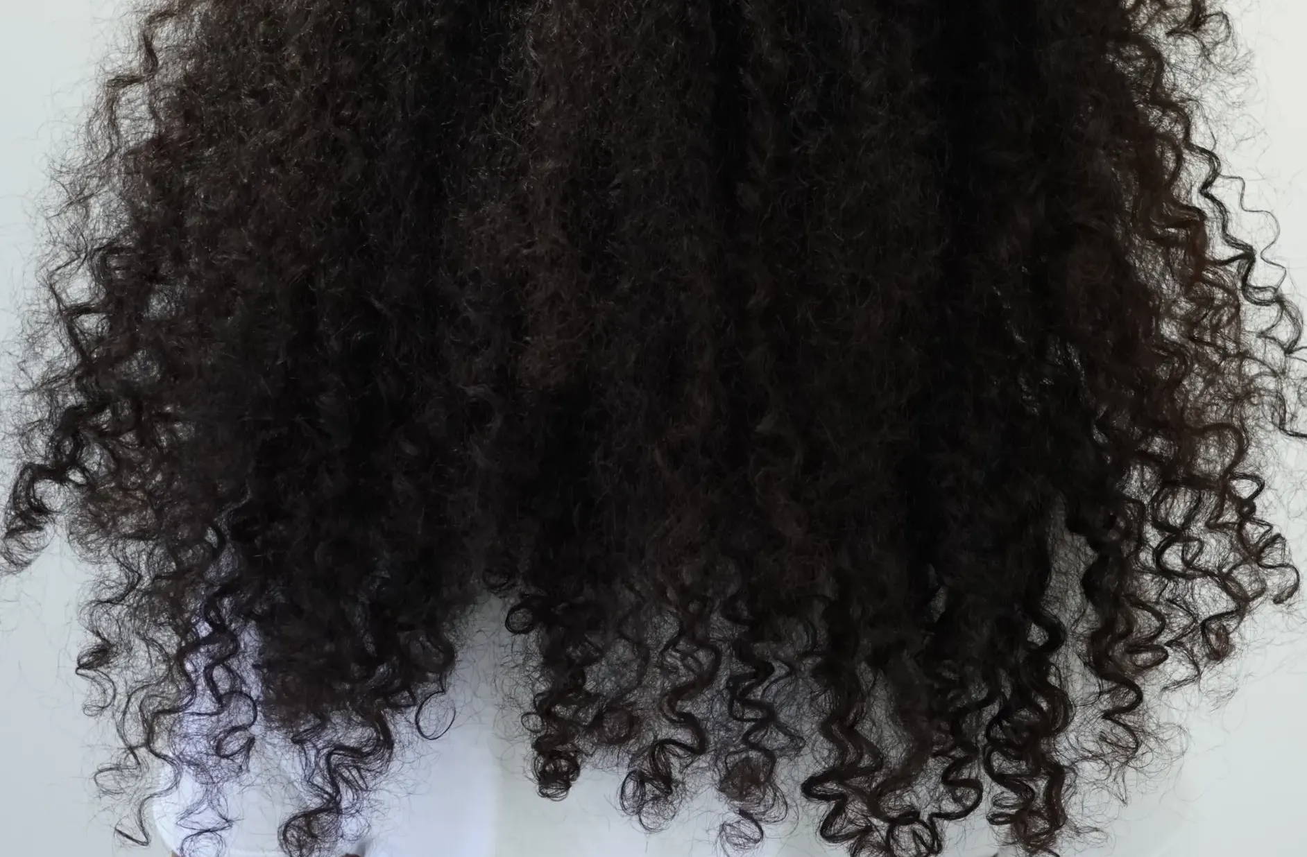How To Treat Extremely Dry and Damaged Curly Hair | LUS Brands