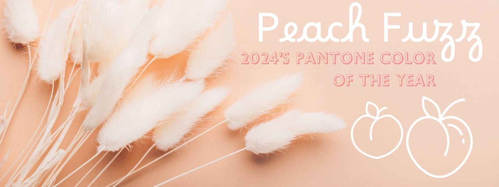 Peach Fuzz: 2024's Pantone Color of the Year