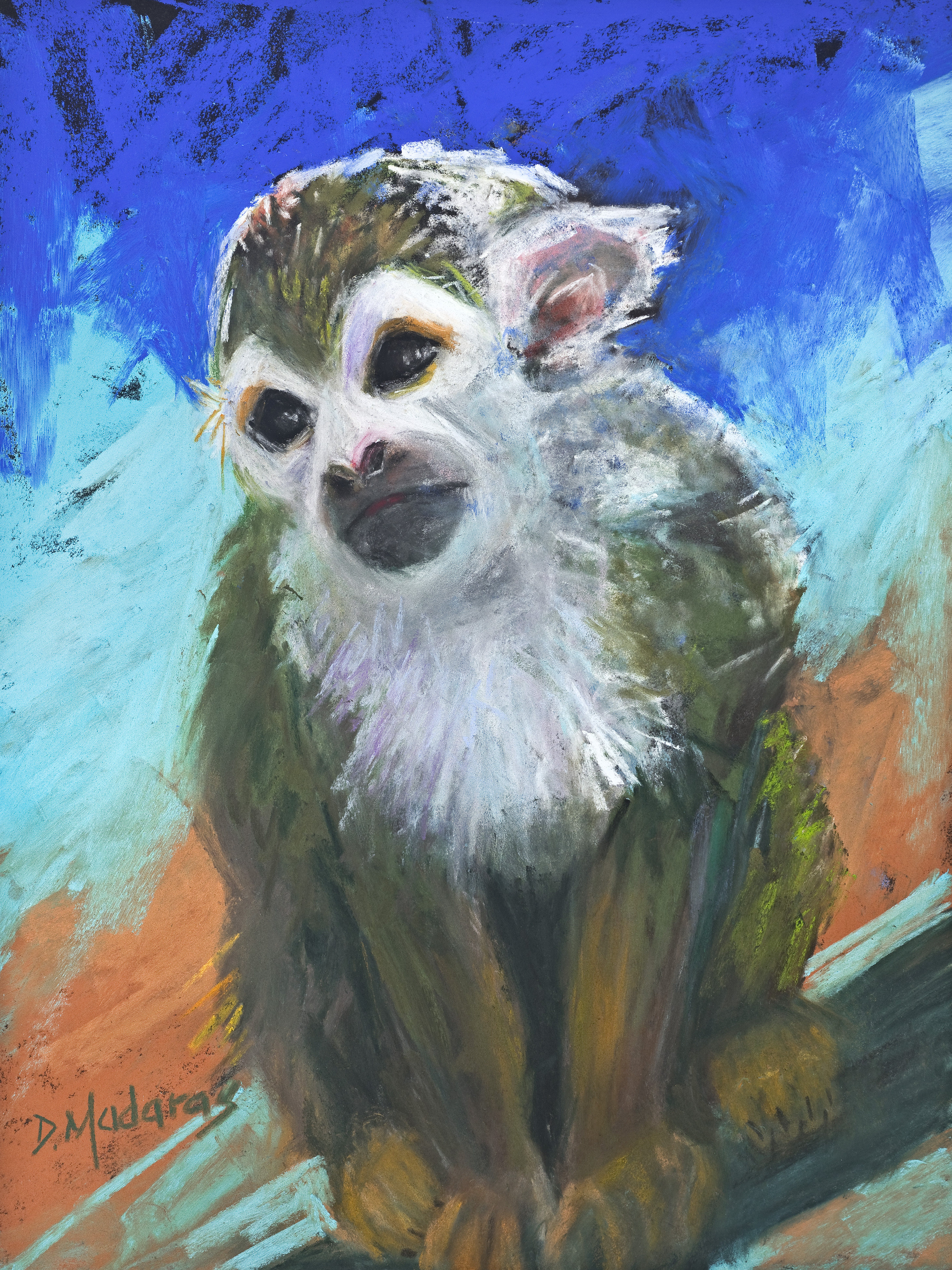 Toto the Monkey