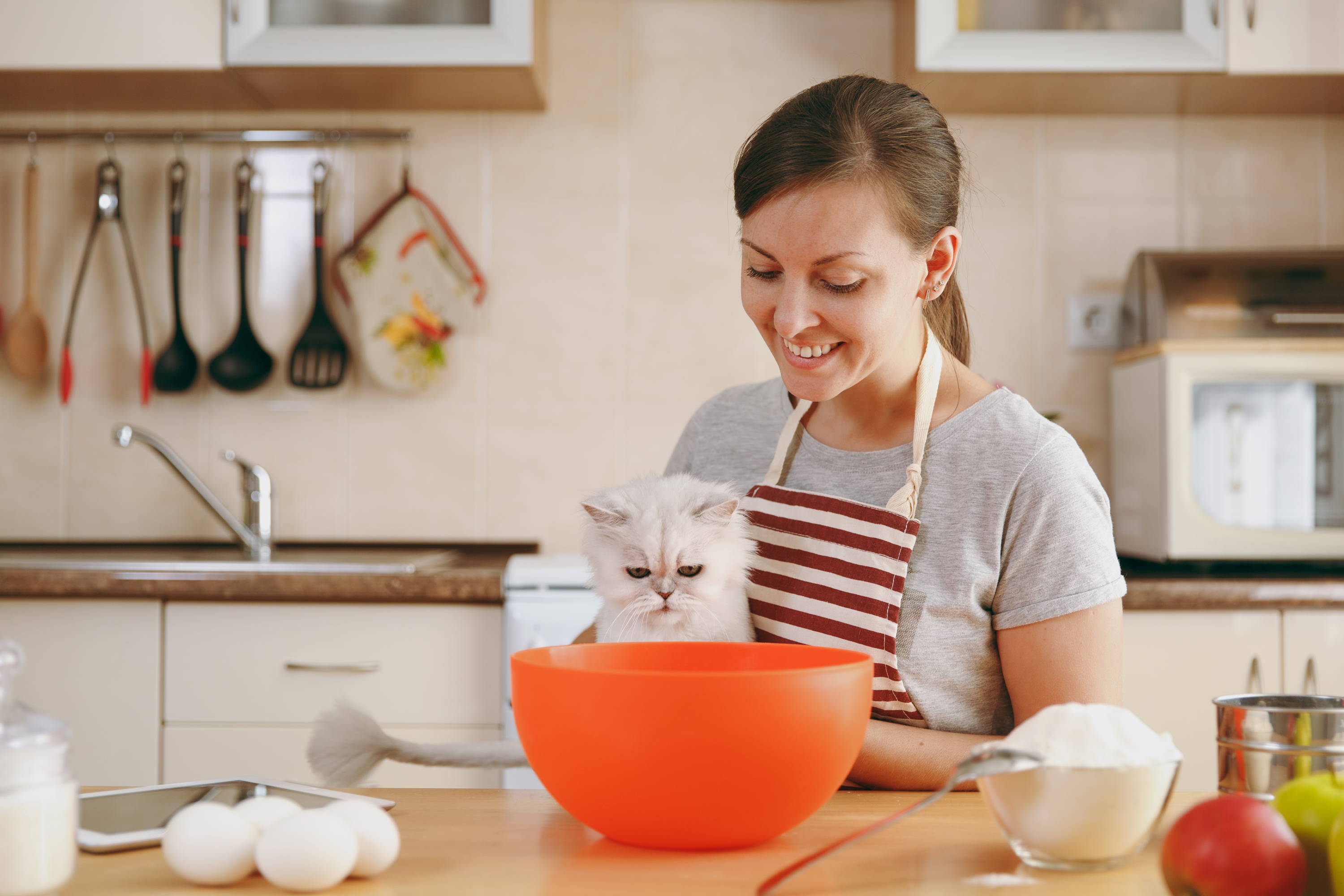 baking cake with cats