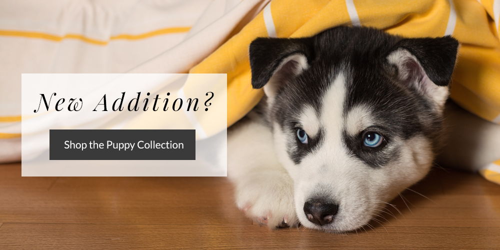Shop the Puppy Collection