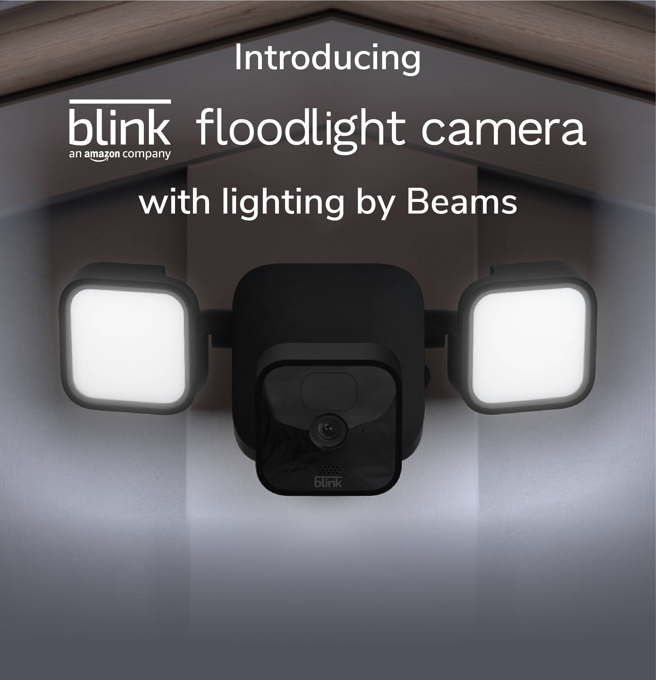 Installieren der Blink Floodlight Mount — Blink Support
