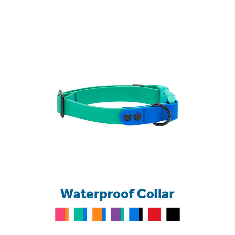 Waterproof collar in teal with color options displayed below.