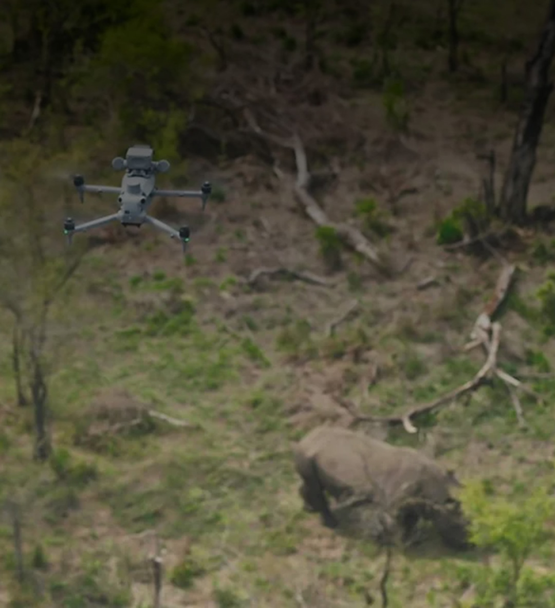 Wildlife & Anti-Poaching Operations