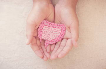 Two hands holding a pink model of intestines on a light background.