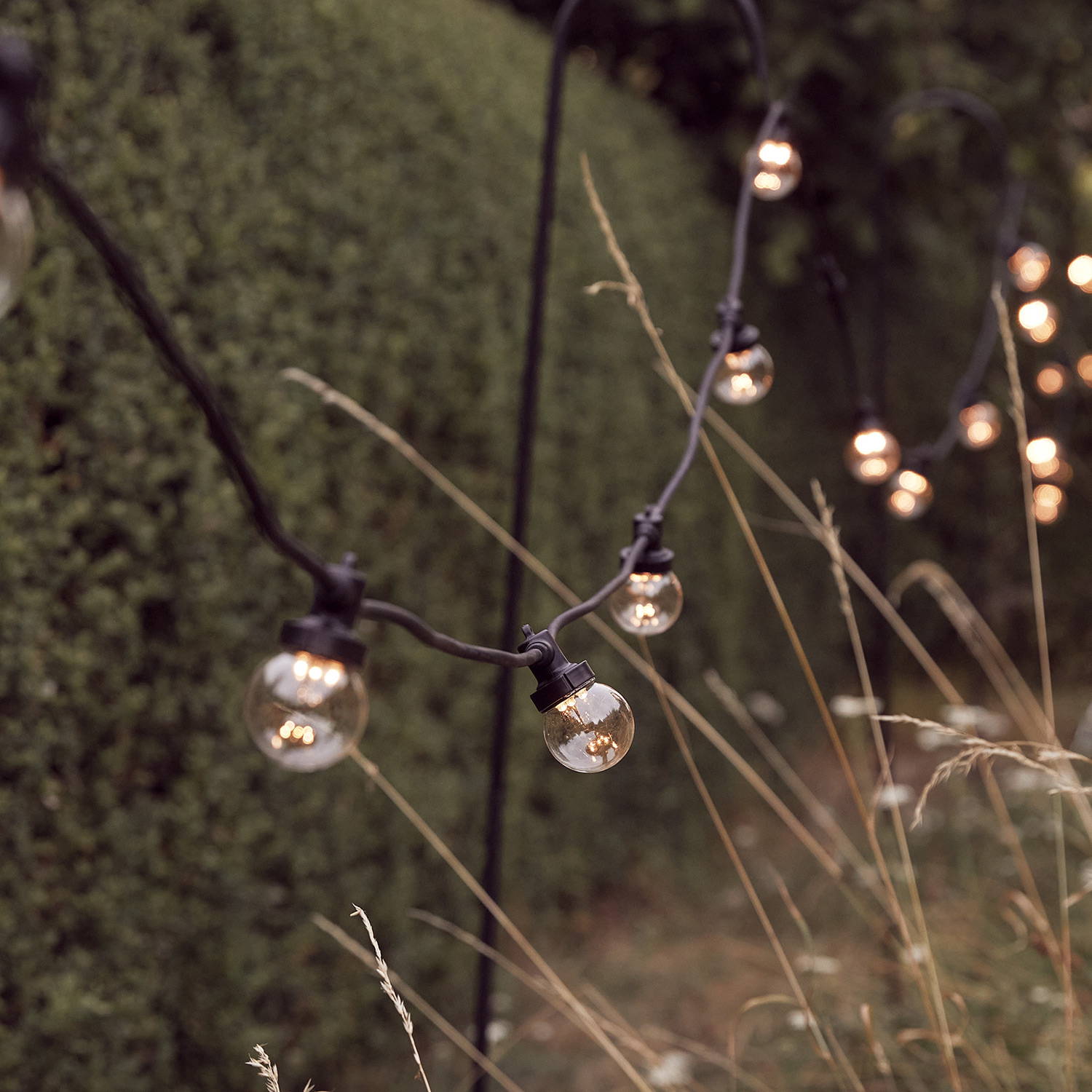 Black cable, clear cap festoon lights on shepherd hooks in a garden setting.