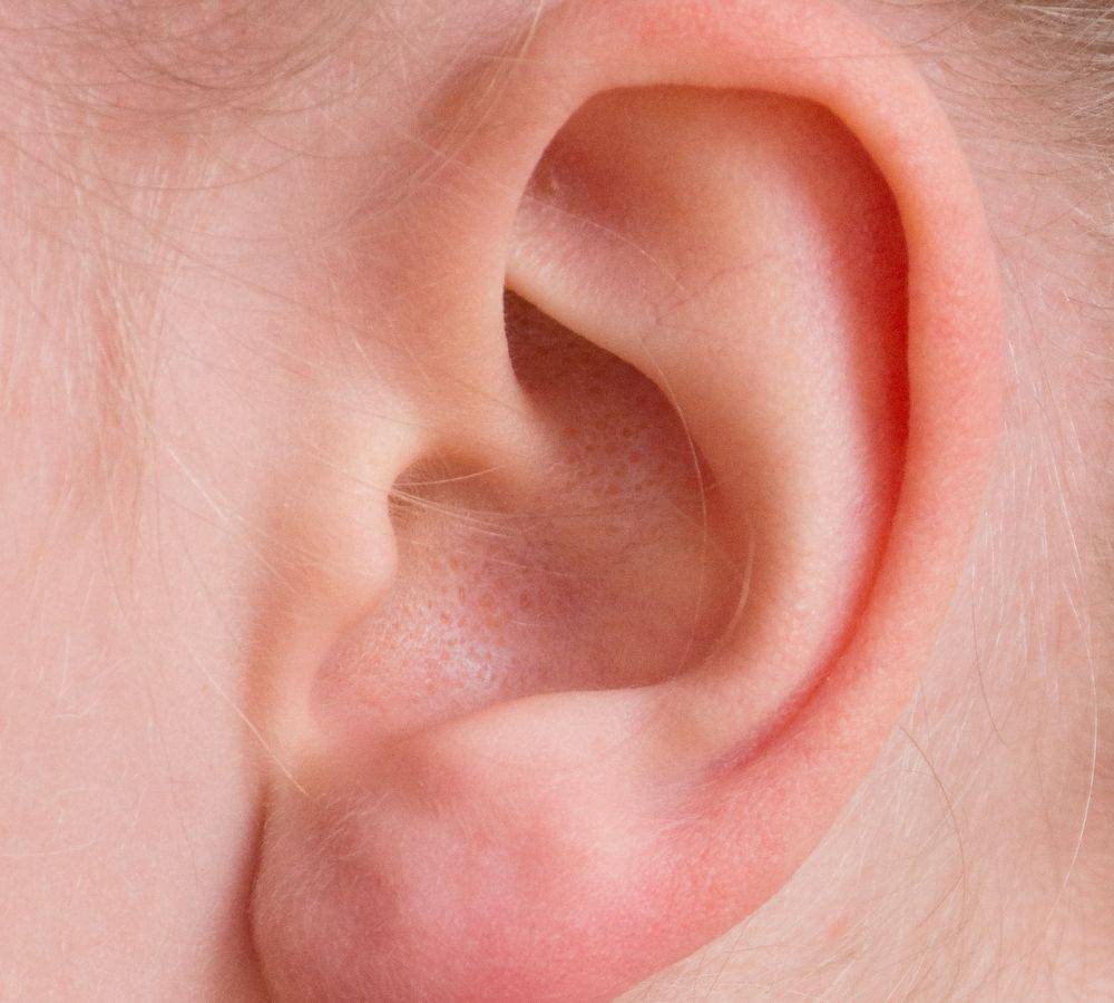 Close up image of an ear