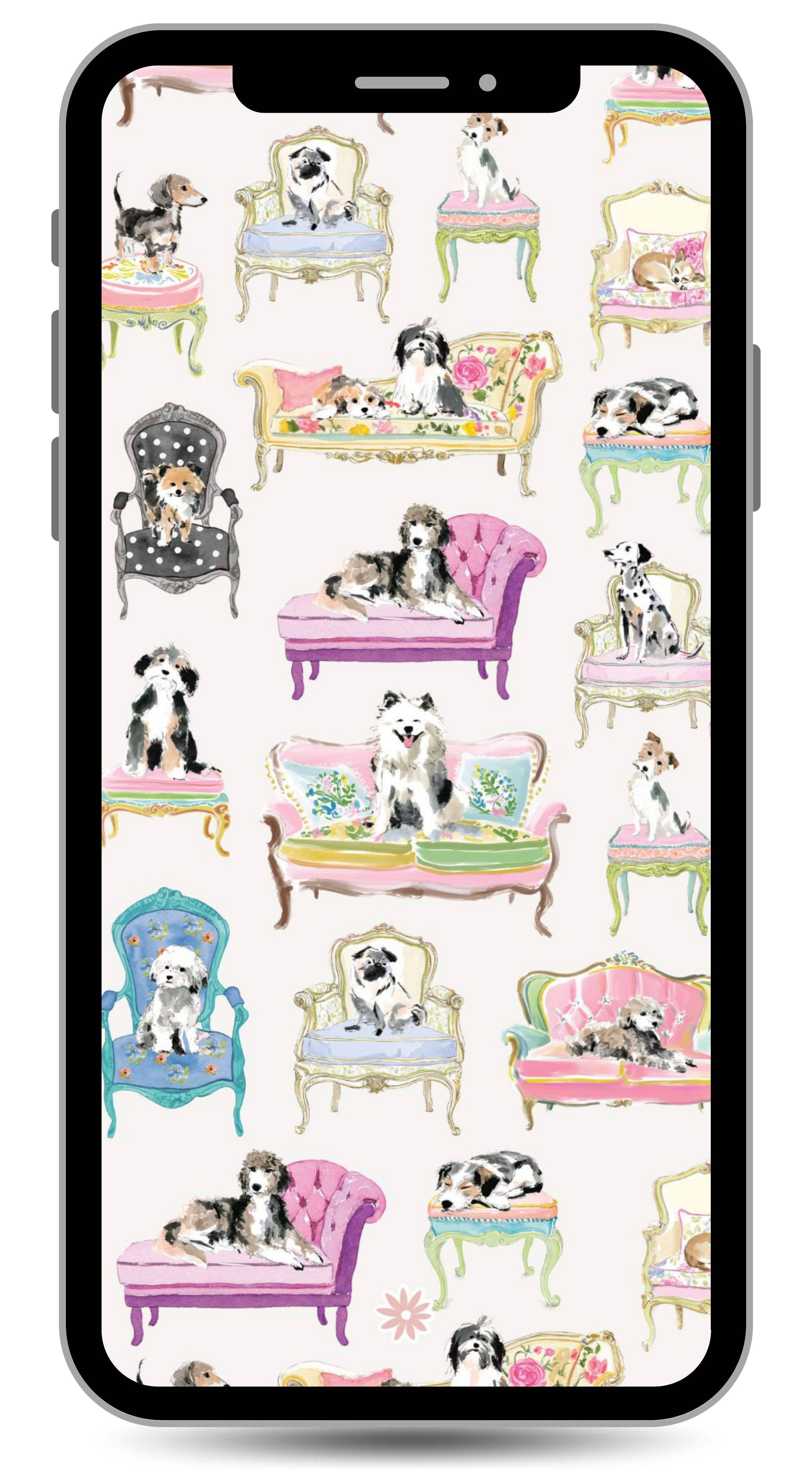 sit stay plan dogs on chairs iphone wallpaper
