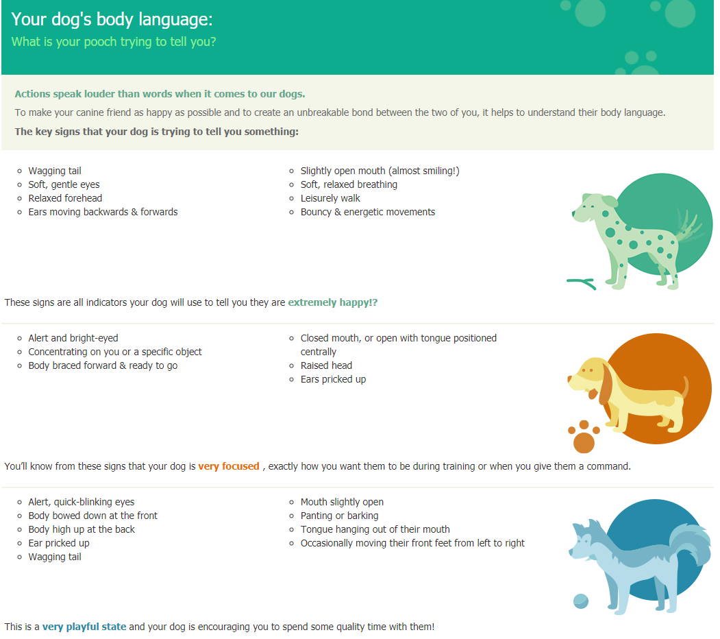 Dog Body Language Infographic