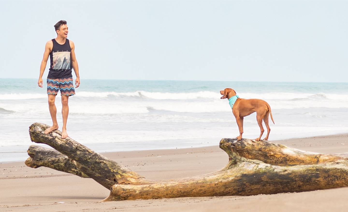 Man with dog on beach