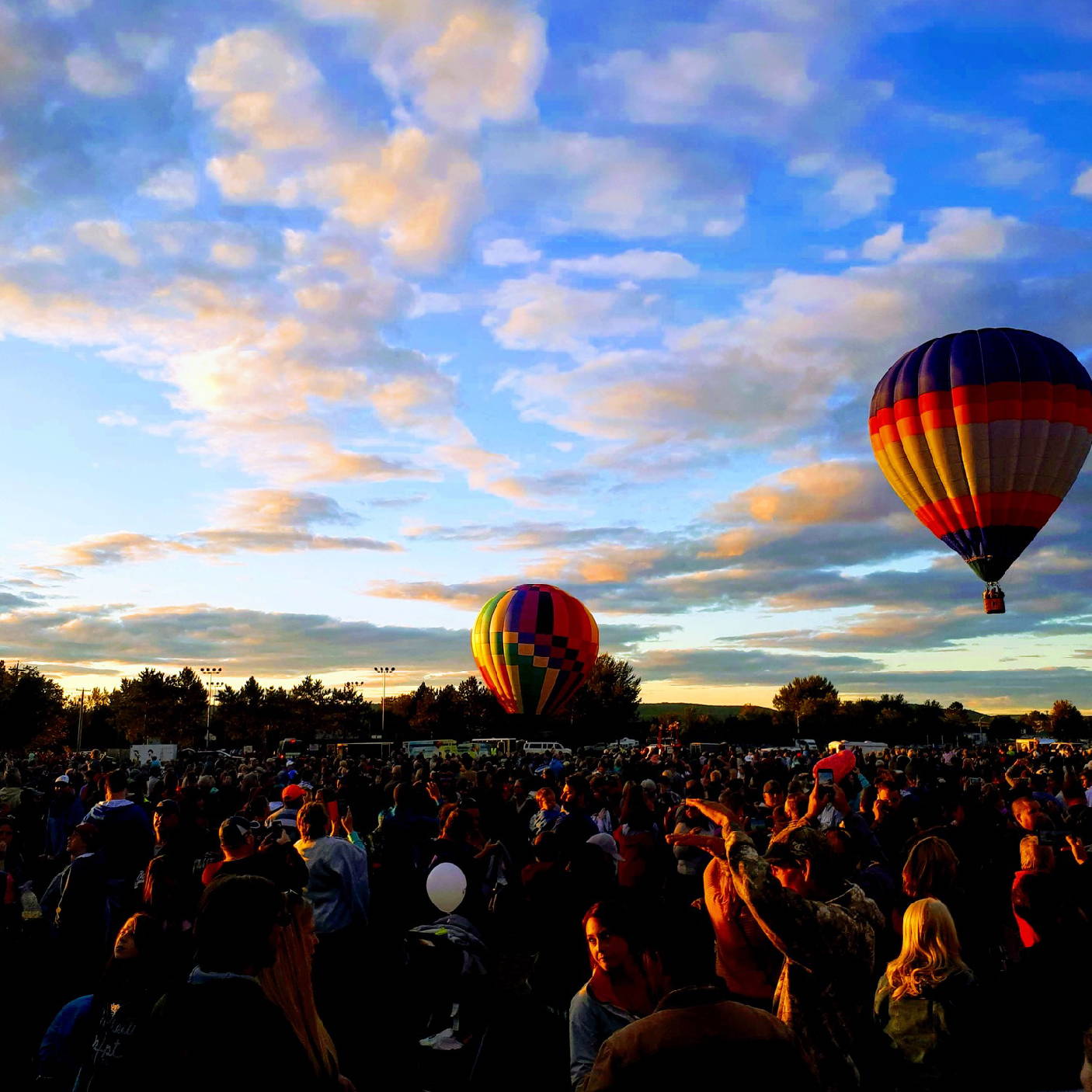 a group of people in a field with hot air balloons