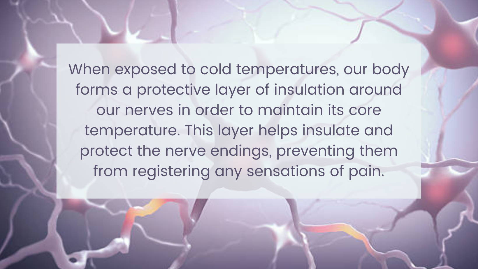 When exposed to cold temperatures, our body forms a protective layer of insulation around our nerves in order to maintain its core temperature. This layer helps insulate and protect the nerve endings, preventing them from registering any sensations of pain.