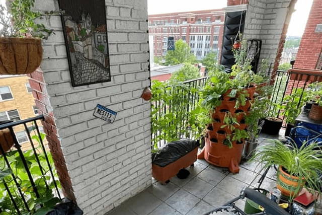 Different types of planting boxes growing greens on a city balcony