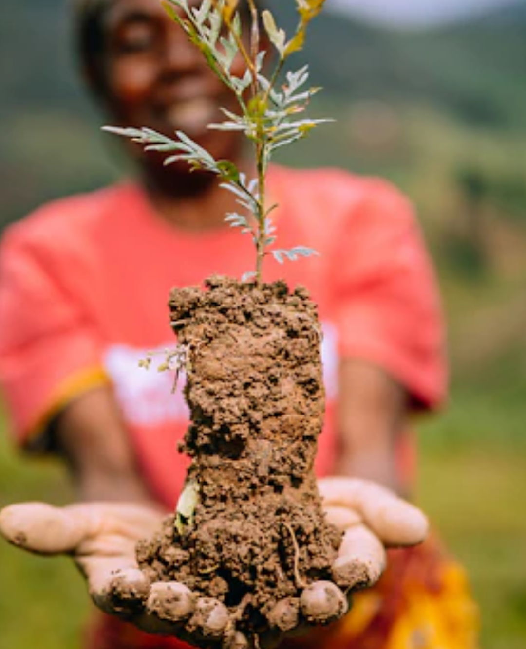 woman holding tree