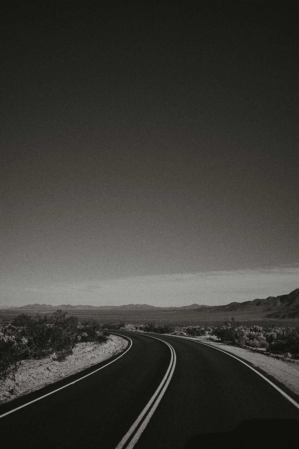 Joshua Tree Asphalt Texture