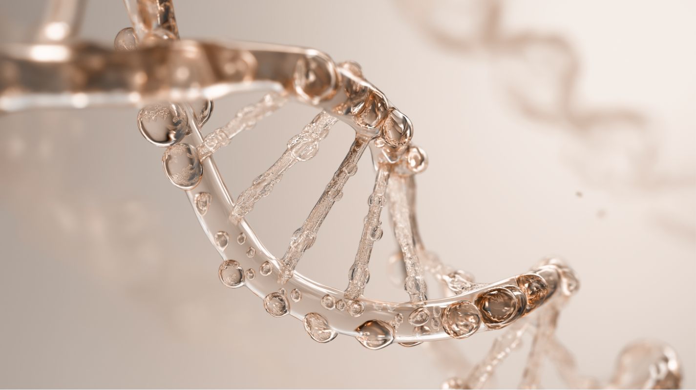 Primer plano de una estructura de doble hélice de ADN en un fondo neutro.