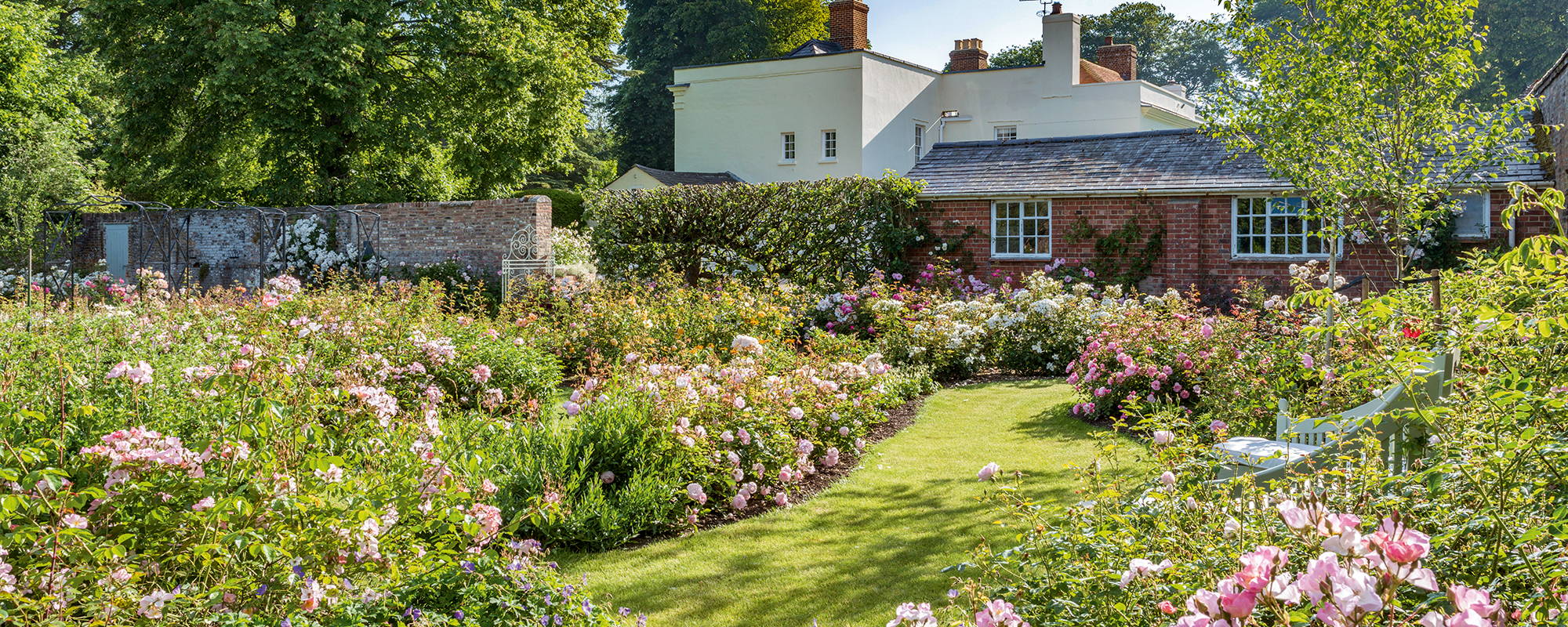 Rose Garden Design Service