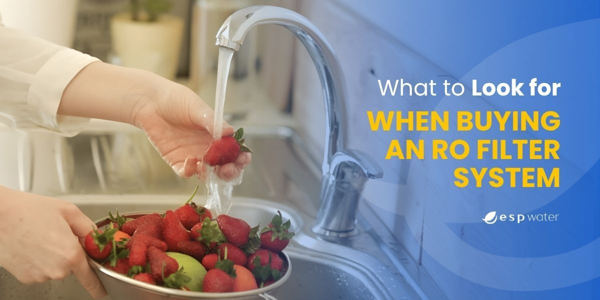 What should I keep in mind when browsing RO filter systems