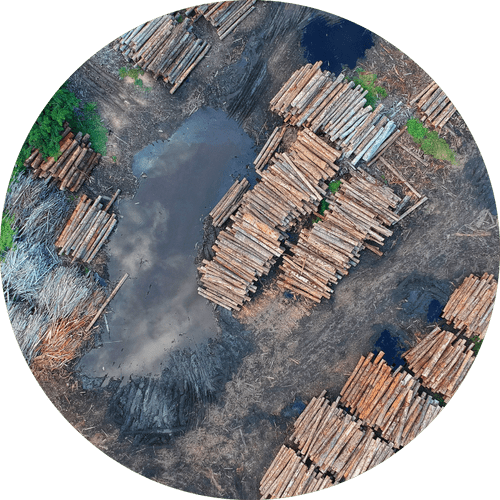 aerial view of a logging site