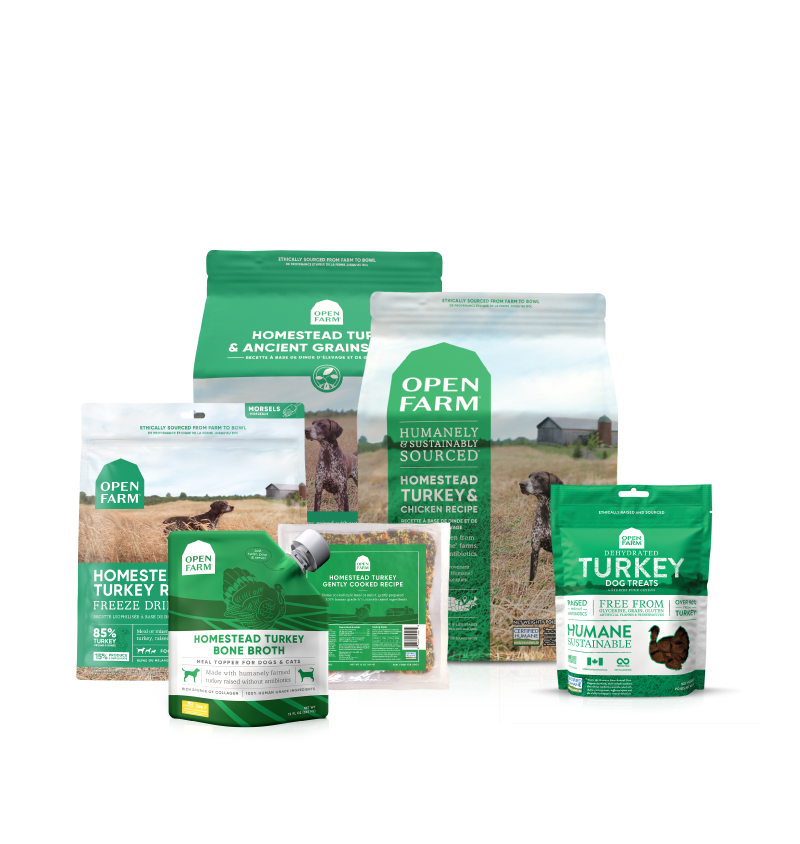 chicken nutrisource dog food Nutrisource Grain Free High Plains Select Dog Food – Hearty Pet main image 0