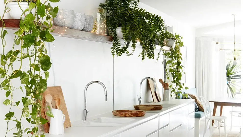 Kitchen shelf with micro lights in bell jar and micro lights entwined in foliage.