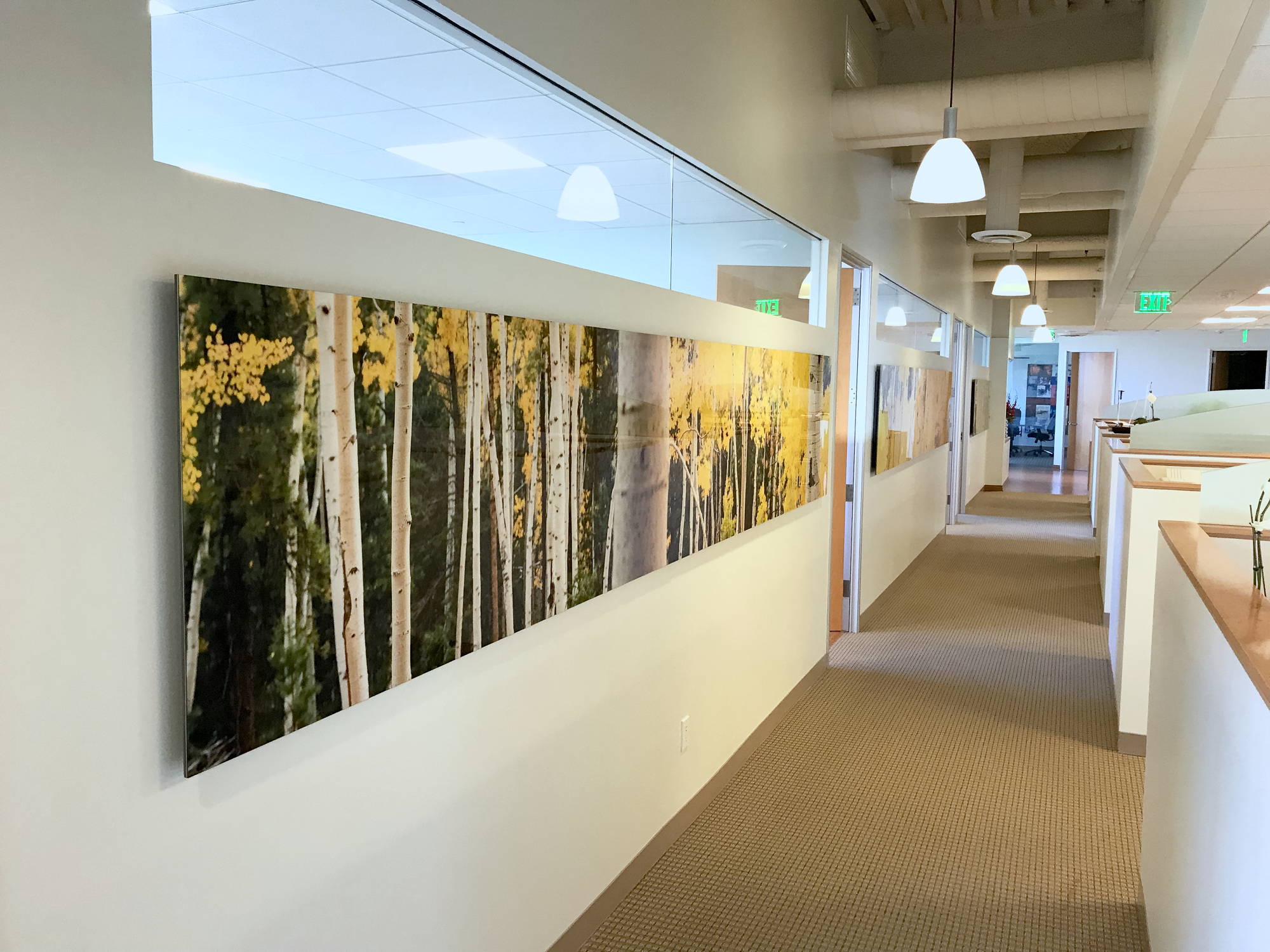 Large format gigapixel photograph in an office hallway, which is one of the largest business art installations ever