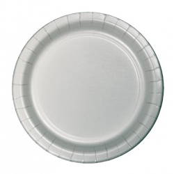 Image of silver plates. Shop all silver party supplies.