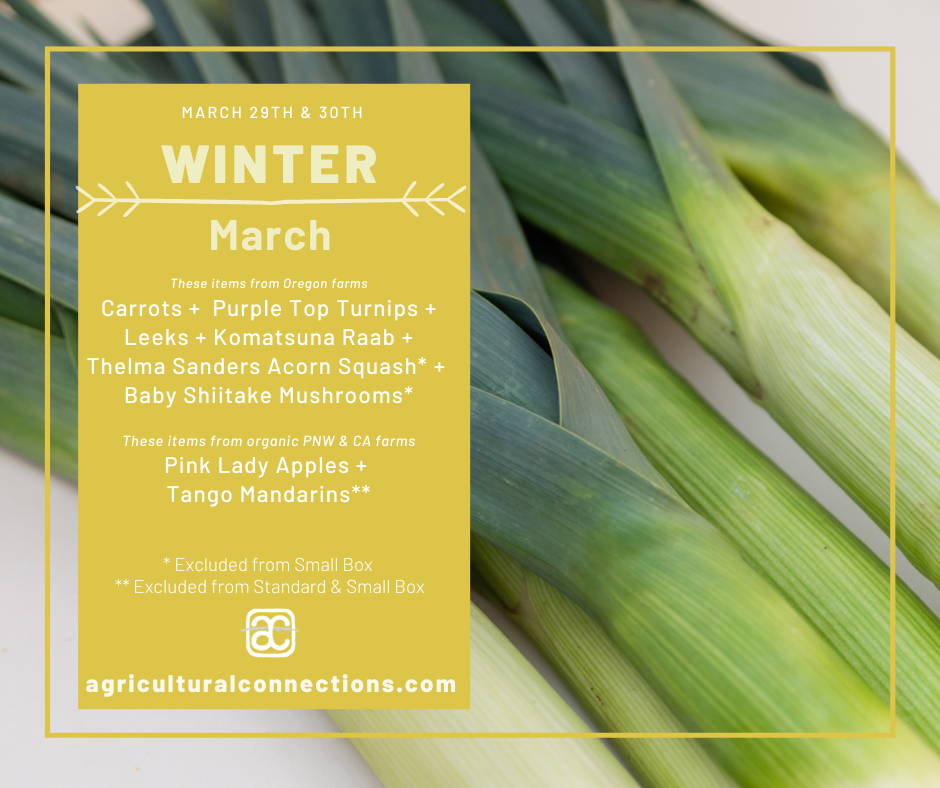 A close-up picture of large green leeks on a white background. A yellow text-box on top of the image has the box contents for March 29th & 30th. From Oregon: carrots, purple top turnips, leeks, komatsuna raab, thelma sanders acorn squash (not in small box), baby shiitake mushrooms (not in small box). From WA and CA: pink lady apples, tango mandarins (full box only)