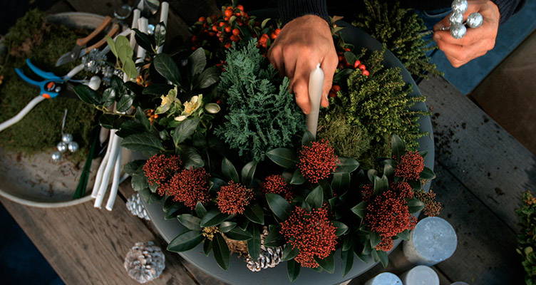 Creëer kerstsfeer in jouw tuin